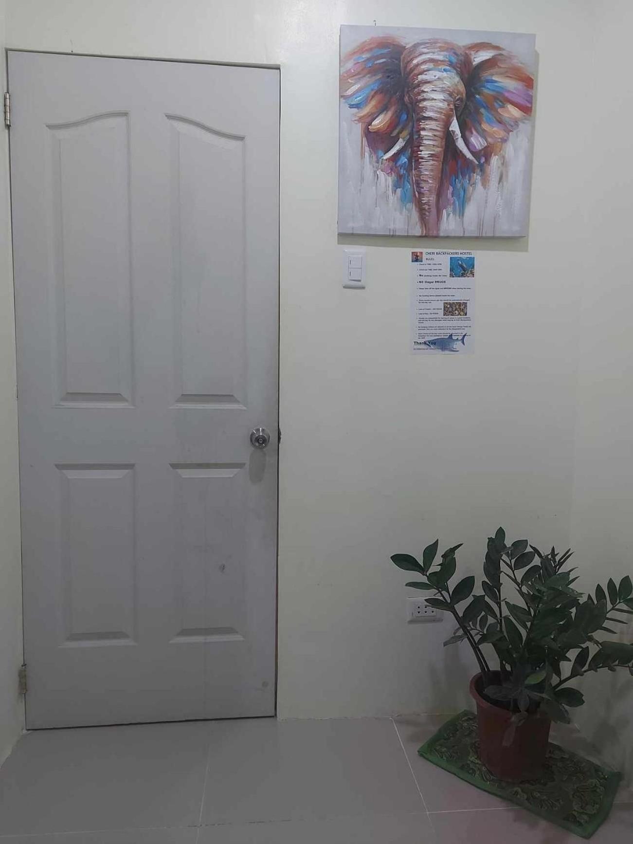Cheri Backpackers Hostel Moalboal Exterior foto